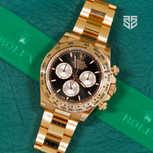 Rolex Daytona Everose Gold Black Sundust Dial 126505 2024